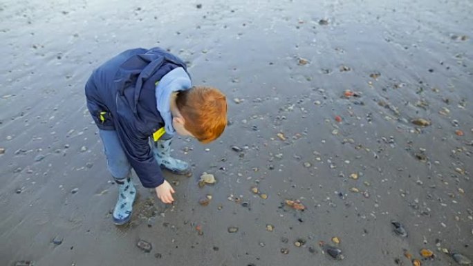 年轻的红发孩子在海滩上发现一块石头