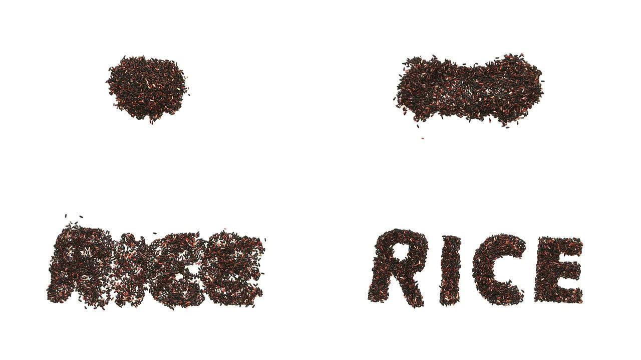 米粒从堆叠到字母表。