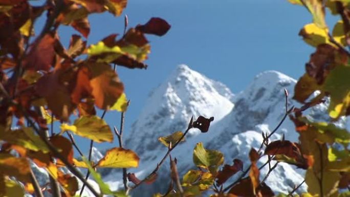 高清: 雪山高原海拔秋季秋色欧洲山脉