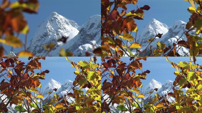 高清: 雪山高原海拔秋季秋色欧洲山脉