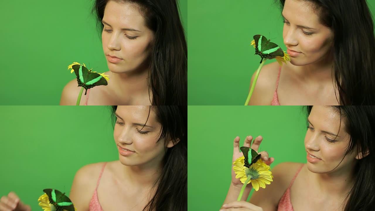 绿色蝴蝶的美女绿色花纹蝴蝶黄色的花