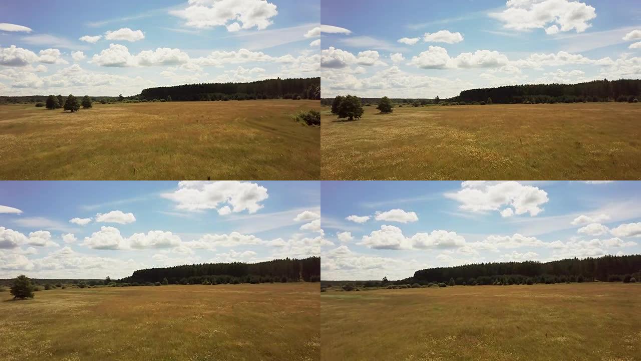 无人机向前飞，在草地上平移。平静的夏季草场和遥远的森林的空中拍摄。4K