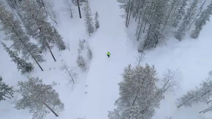 空中: 无法识别的人沿着雪道穿越神秘森林