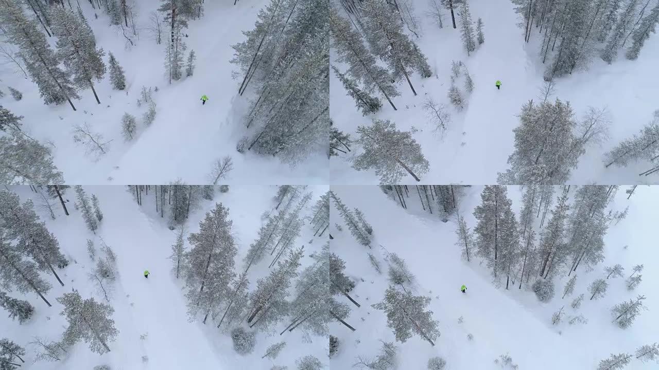 空中: 无法识别的人沿着雪道穿越神秘森林