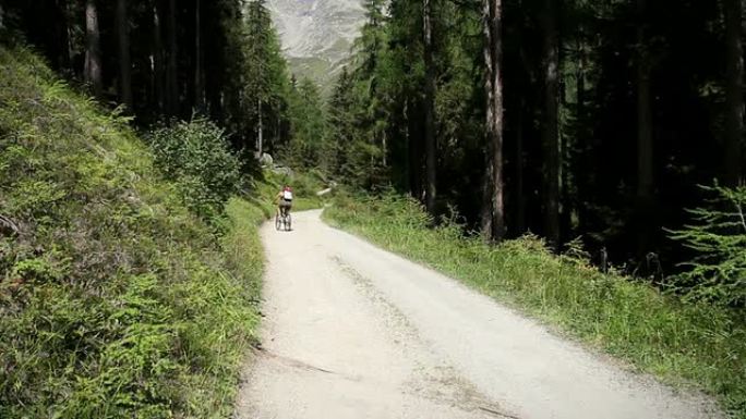 森林中的山地自行车白色道路
