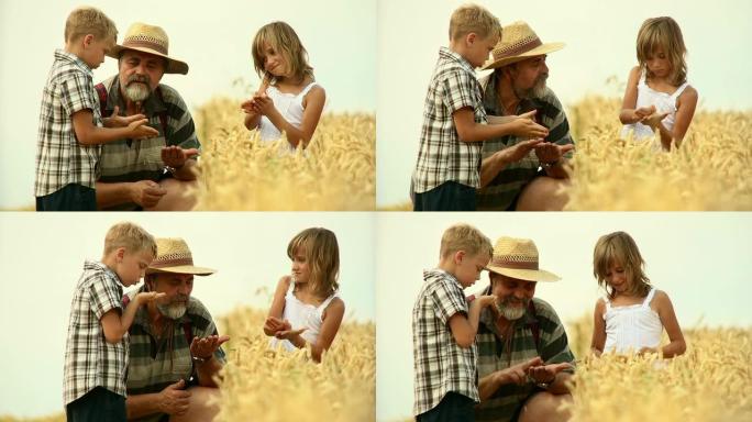 高清: 农民教他的孙子