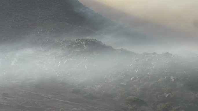 开普敦-2015年3月: 在桌山上烧毁丛林大火的后果