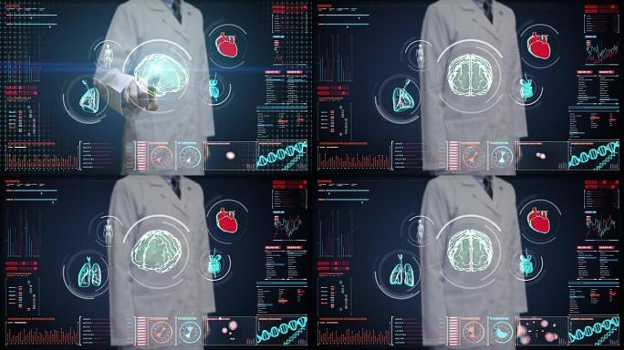 医生触摸数字屏幕，扫描大脑，心脏，肺，内脏器官在数字显示仪表板。X射线视图。