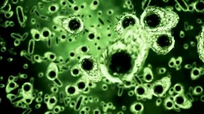数字生成的细菌细胞在绿色背景下流动