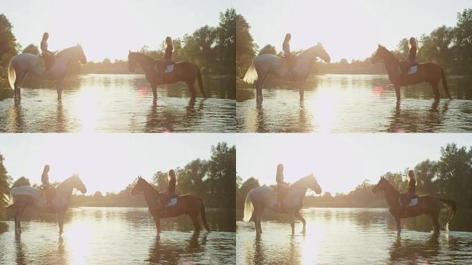 特写: 两匹马与女骑手站在河中彼此面对