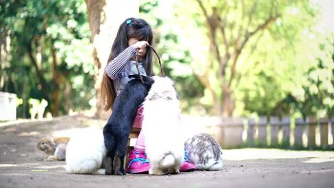 儿童女孩喂她的小兔子