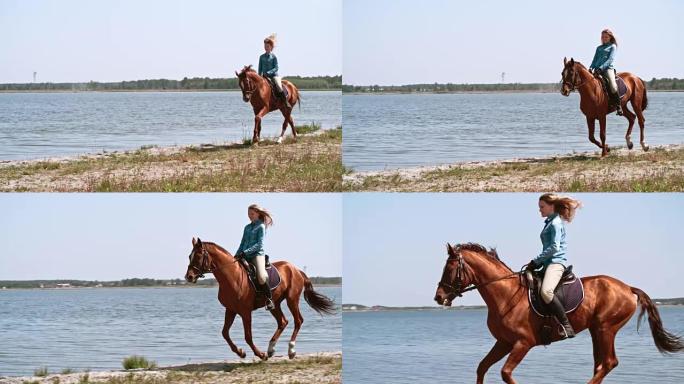 骑着纯种马的快乐年轻女子
