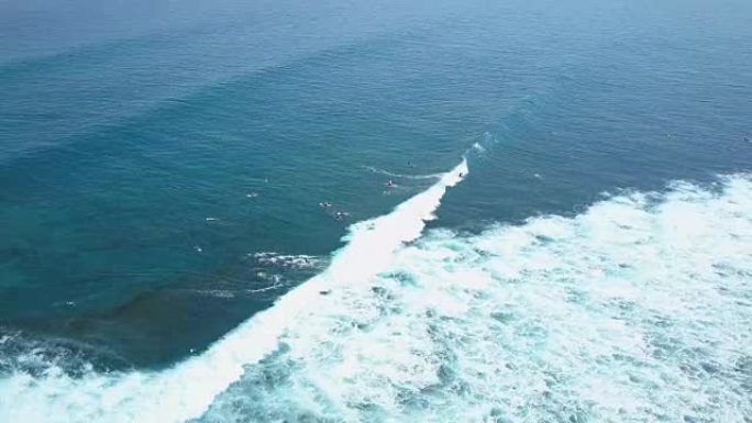 空中: 一群无法辨认的冲浪者向巴厘岛的冲浪阵容划桨