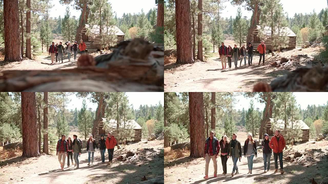 六个朋友走过森林中的小木屋，走向相机