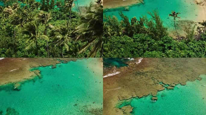 鸟瞰图飞越椰树，露出热带蓝色泻湖