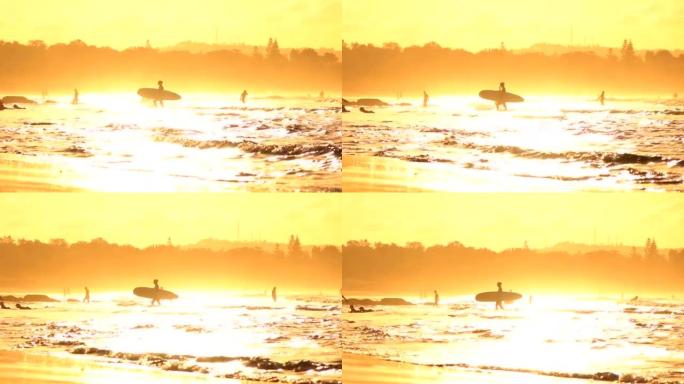 慢动作: 人们在金色黎明在浅海水中游泳和行走
