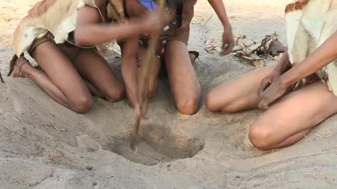布须曼人从沙子的洞中挖出蝎子