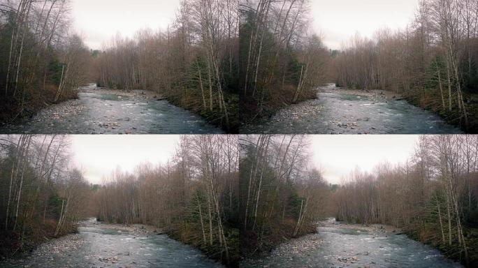 下午树林中的宽阔河流
