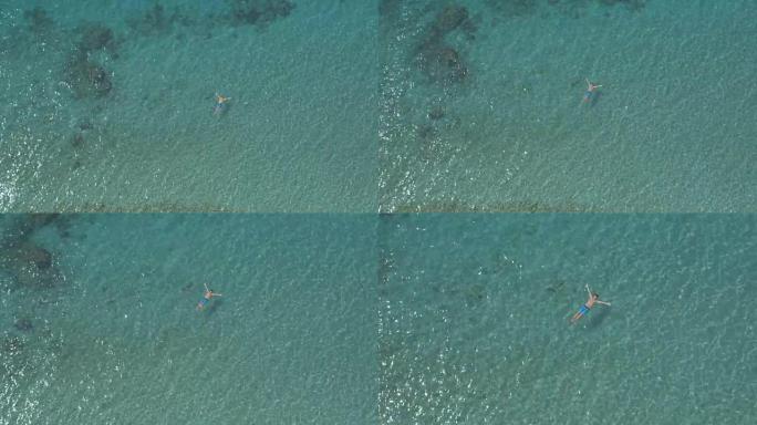 空中: 开朗的家伙游泳海星漂浮并在清澈的海洋中放松