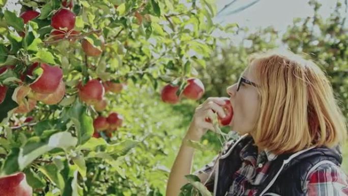 DS女人从树上摘下苹果后吃苹果