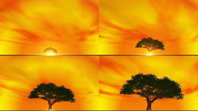 树在橙色的天空中生长