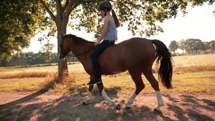 女孩骑着一匹美丽的马在田野旁边