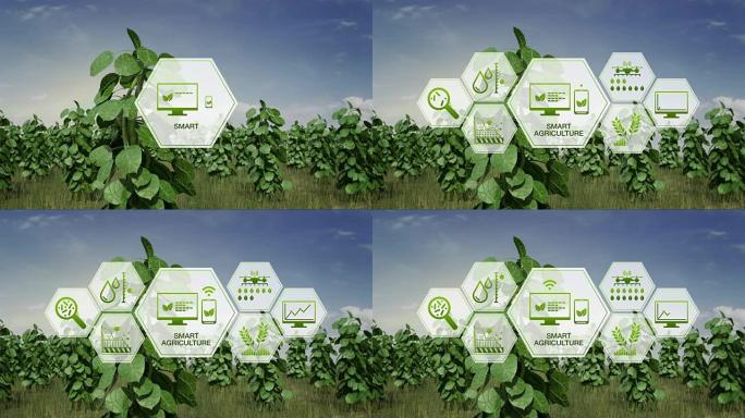 智慧农业智慧农业，六边形植物绿地信息图形图标，物联网。第四次工业革命。