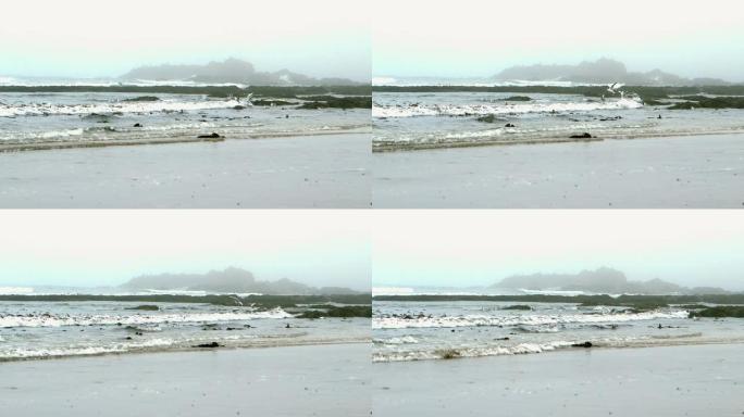 海浪在海滩上滚滚而来