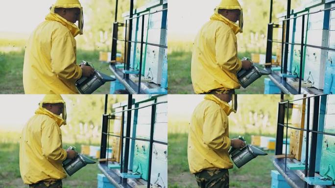 Stedicam拍摄了年轻养蜂人的照片，他在养蜂场的蜂巢外抽着蜜蜂