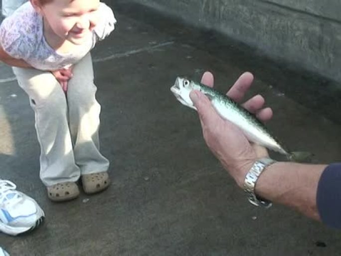 孩子遇见鱼