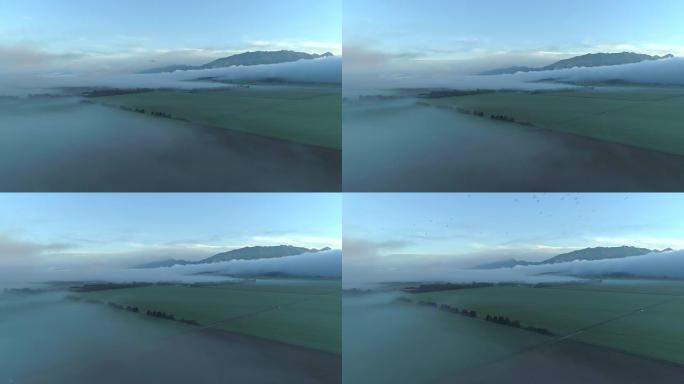 空中浓雾在乡村山谷的广阔草地上蔓延