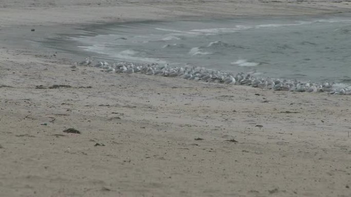 冷滩3-高清1080/30F