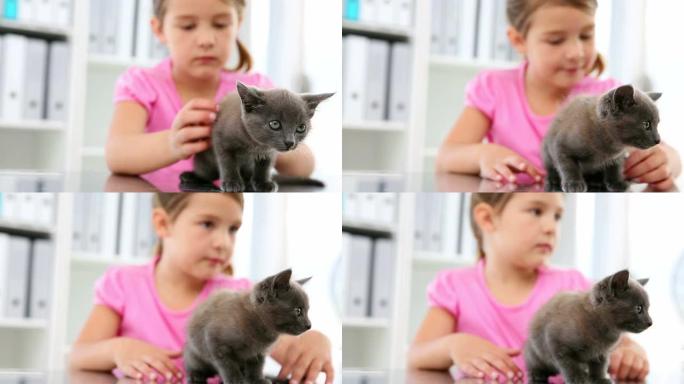 小女孩抚摸着一只灰色的小猫