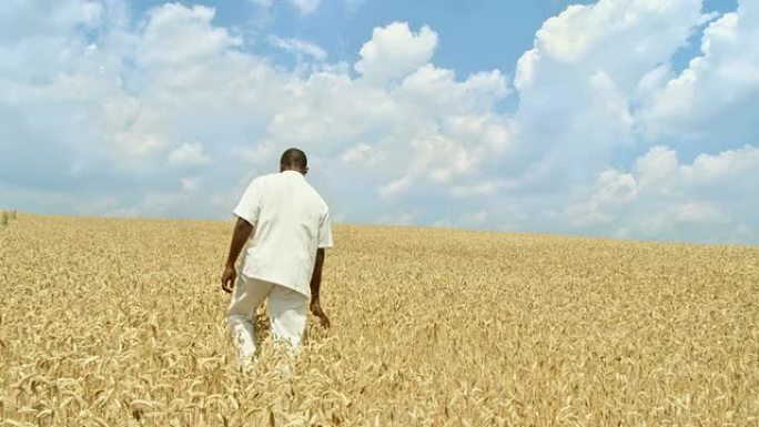 高清: 非洲小麦男子