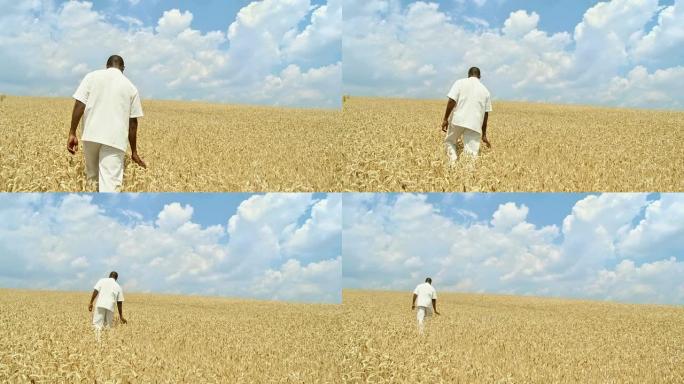高清: 非洲小麦男子
