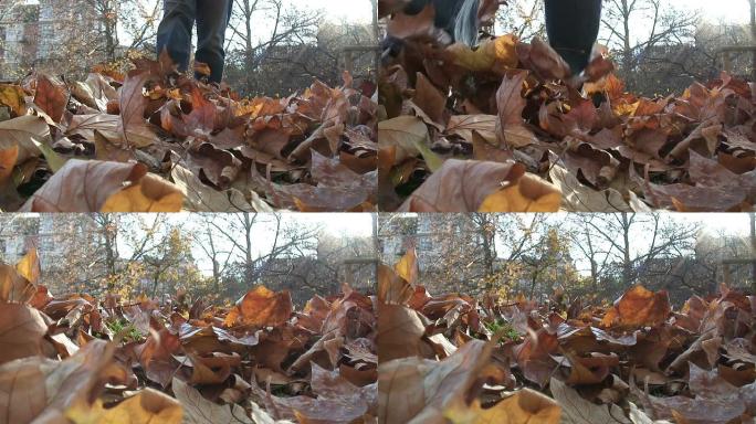 （HD1080i）秋天：向镜头踢树叶