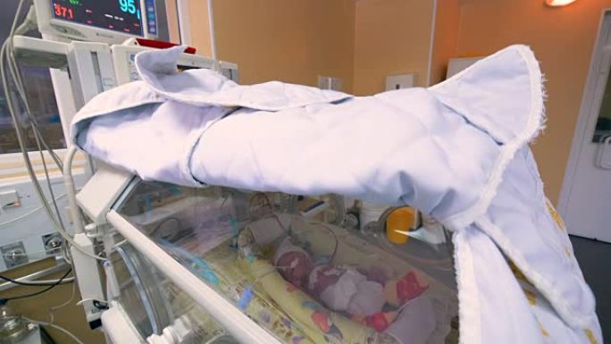 早产儿医院病房。孵化器里的新生无法辨认的婴儿。