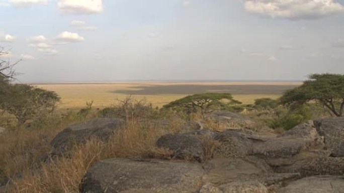 特写: 从非洲大草原低地的山顶上观看