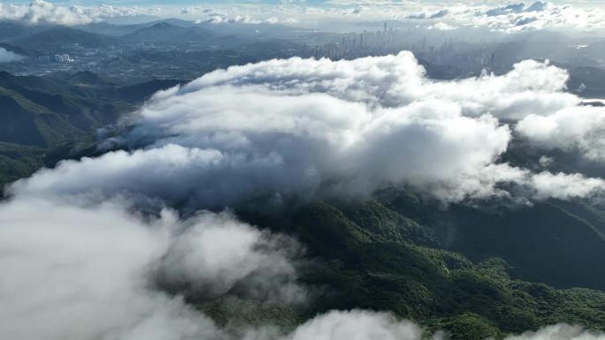 航拍深圳梧桐山云海