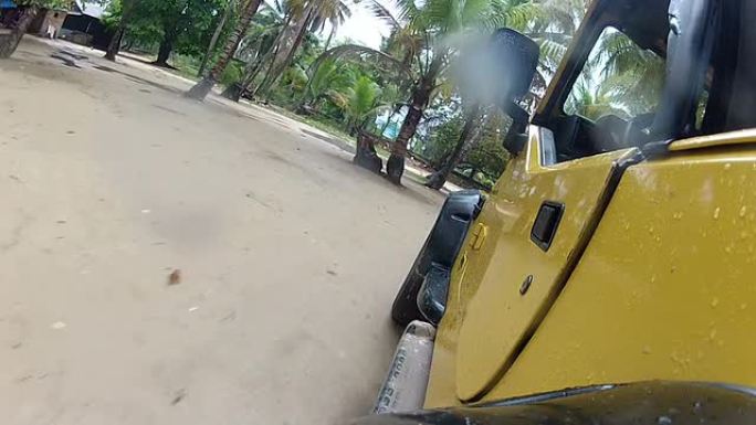 开车穿过棕榈树下的水坑