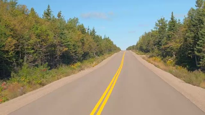 FPV: 在加拿大茂密的秋叶混交林上空旷的高速公路上行驶
