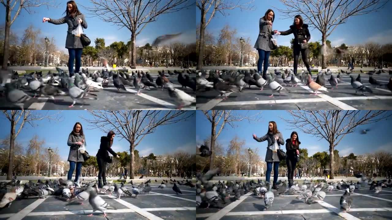 女子游客在广场上喂鸽子