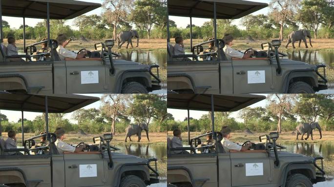 博茨瓦纳，游客驾车观赏大象