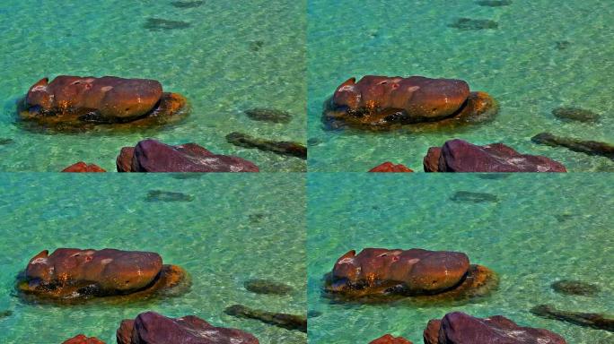海水中的石头