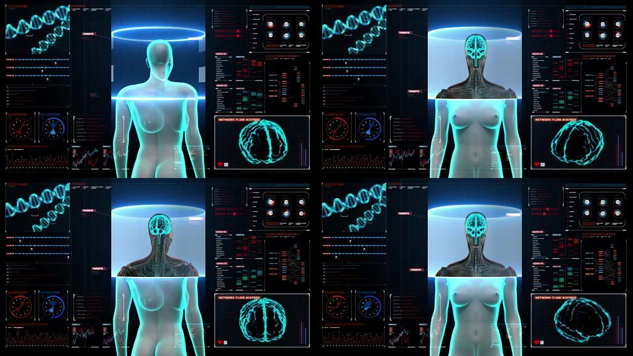 在数字显示仪表板中扫描女性身体的大脑。X射线。