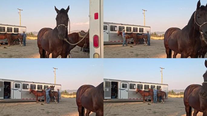 两名牛仔在美国犹他州准备骑马