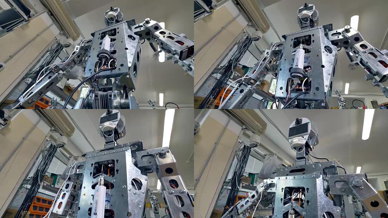 机器人全长身体的俯视图。