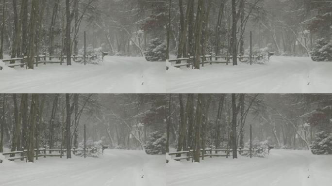 暴风雪中的农村居民道路（视频）