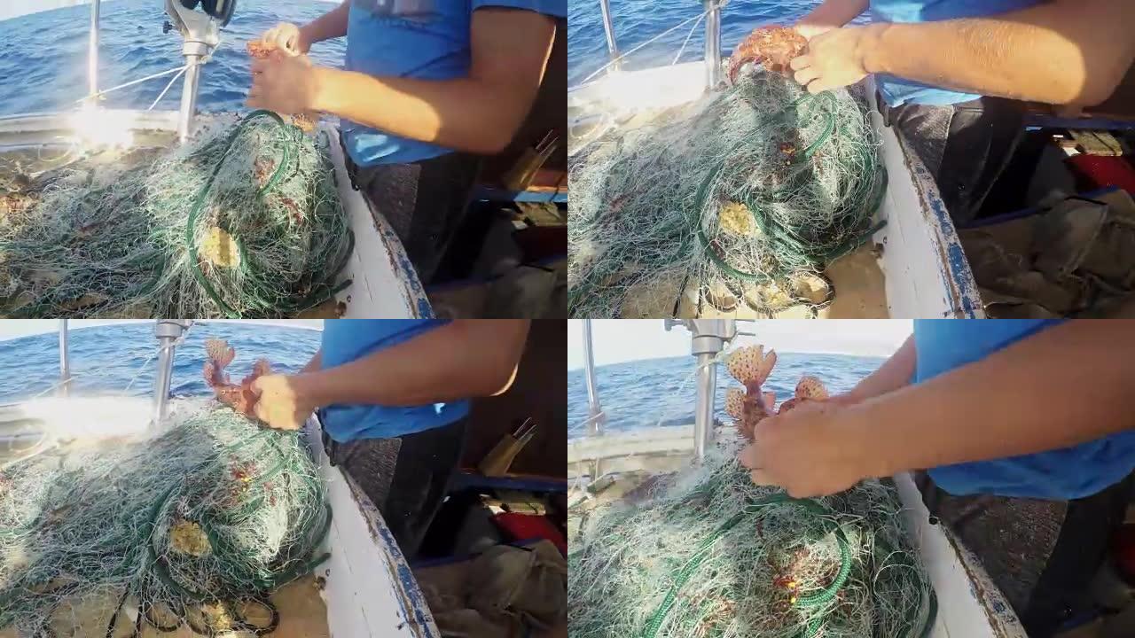 渔夫从渔船上的网中解开鱼