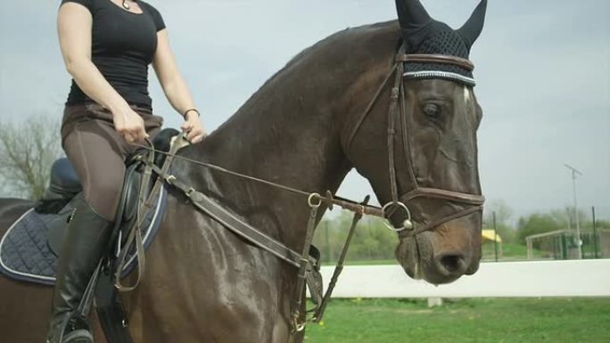 慢动作: 盛装舞步女骑手在竞技场骑马
